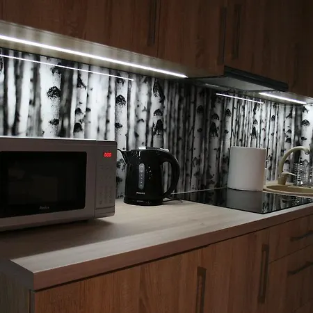 Apartament Brzozowy Апартаменты