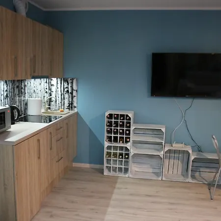 Apartament Brzozowy Апартаменты