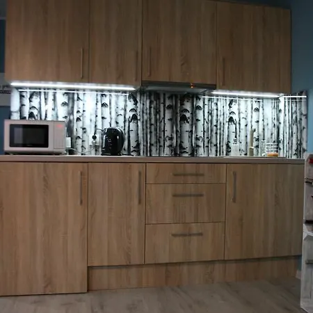 Apartament Brzozowy Апартаменты