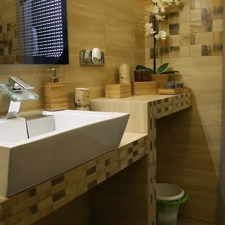 Apartament Brzozowy Познань